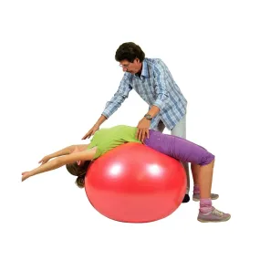 BodyBall da 85 cm | Palla ginnica gigante | Antiscoppio