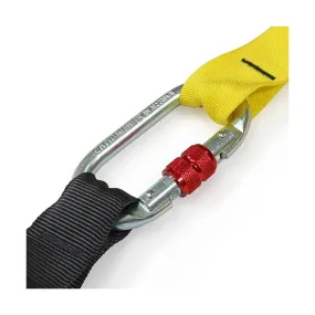 Set per allenamento in sospensione P3X professionale