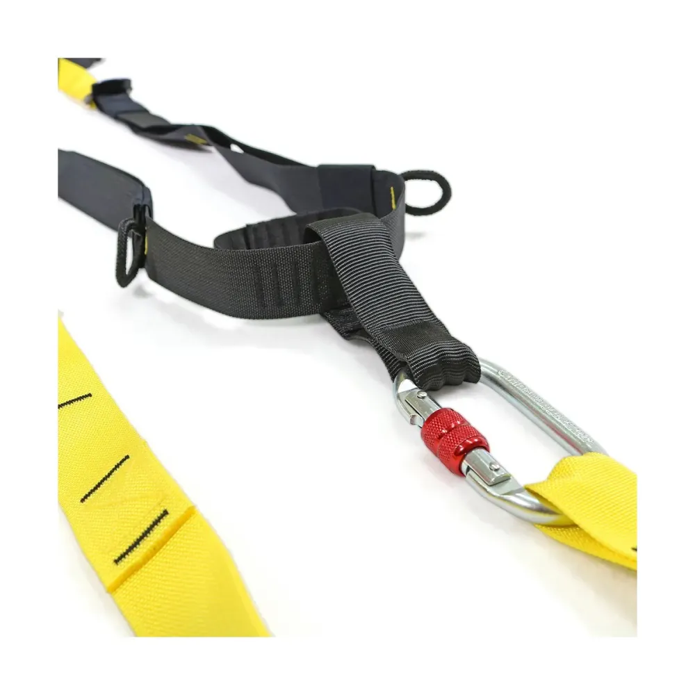 Set per allenamento in sospensione P3X professionale