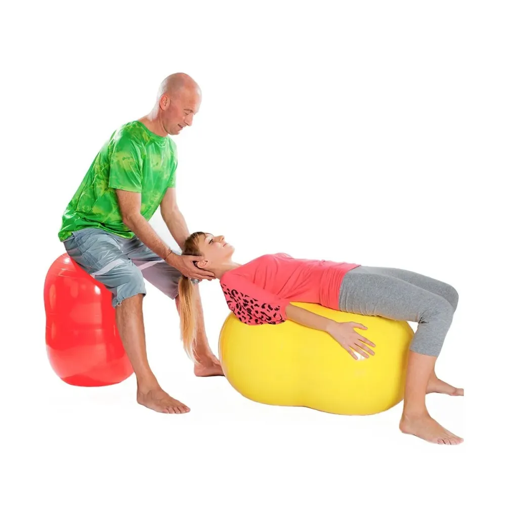 Palla doppia Physio Roll diametro 55 cm