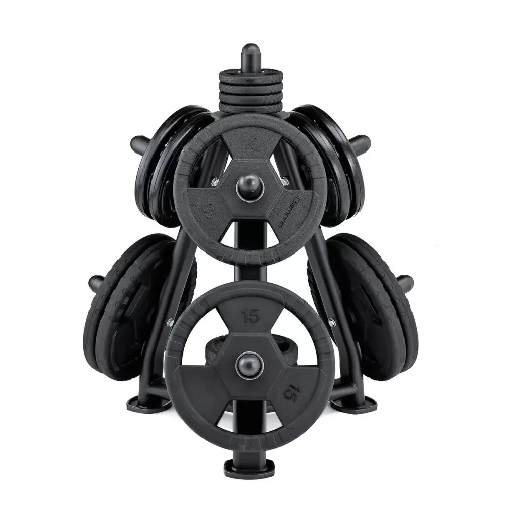 Rastrelliera  per dischi carica